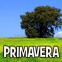 ESPECIAL PRIMAVERA